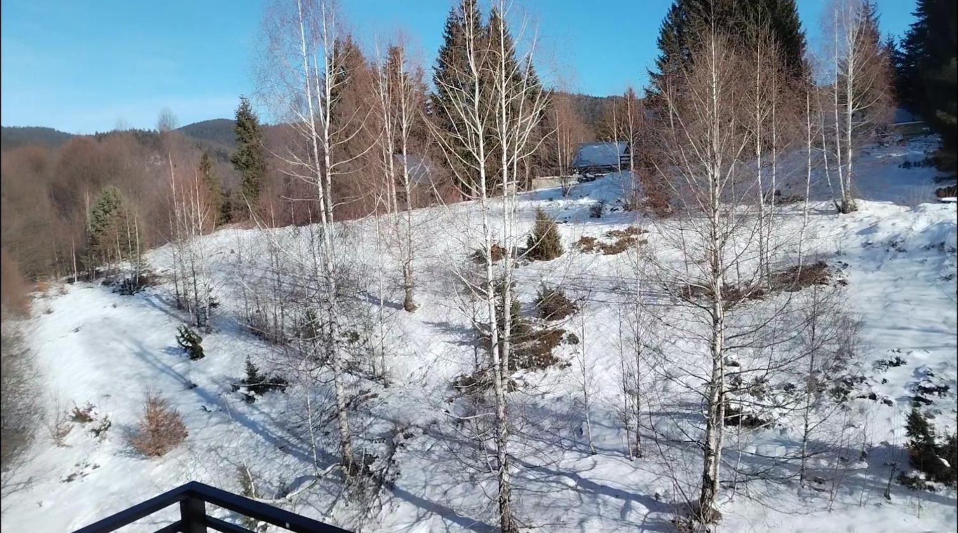 N Lux 95 Milmari * Kopaonik